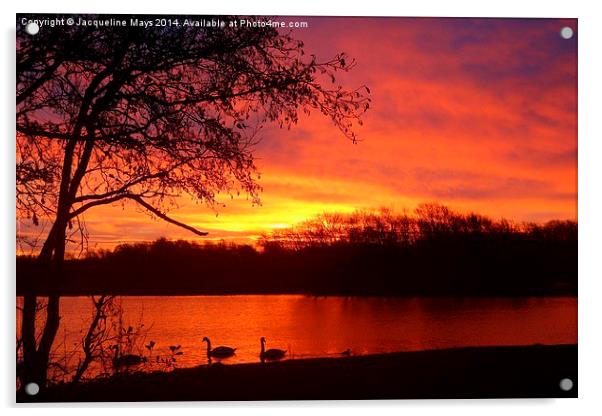  Sunrise Over Swan Lake Acrylic by Jacqueline Mays