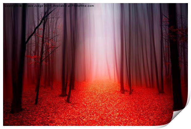  The Red Forest Print by Heaven's Gift xxx68