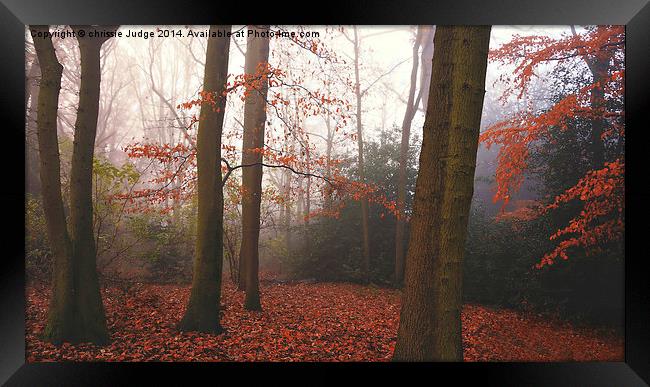  The Autumn Forest Hampstead-heath London Uk  Framed Print by Heaven's Gift xxx68