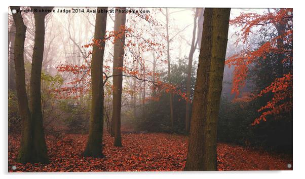  The Autumn Forest Hampstead-heath London Uk  Acrylic by Heaven's Gift xxx68