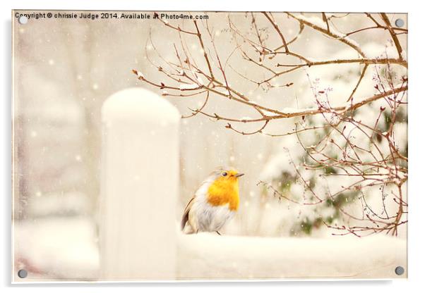  The little red robin on a snowy winters day in lo Acrylic by Heaven's Gift xxx68