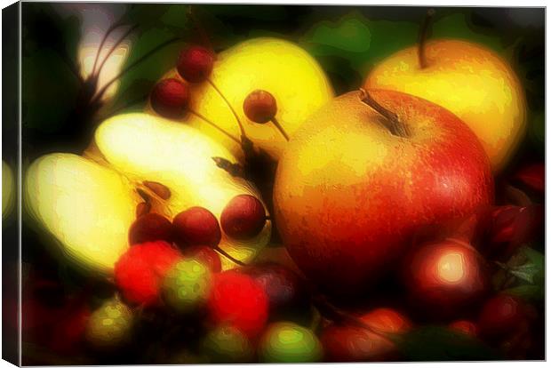  fruits Canvas Print by sue davies