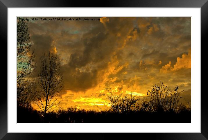  Cedar Sunset Framed Mounted Print by Ian Pettman