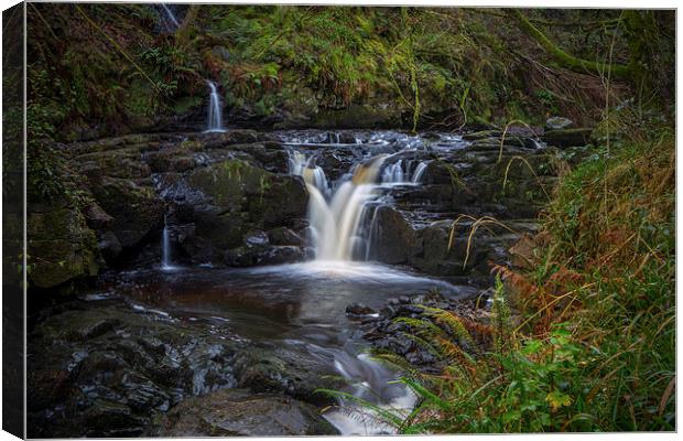  Glenariff Nature Reserve Waterfalls Canvas Print by David Hare