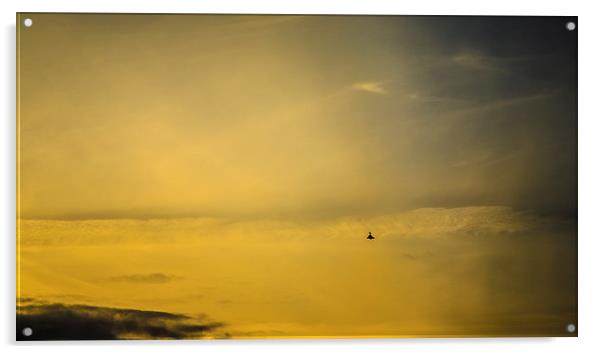  Typhoon Sunset Acrylic by Douglas McMann