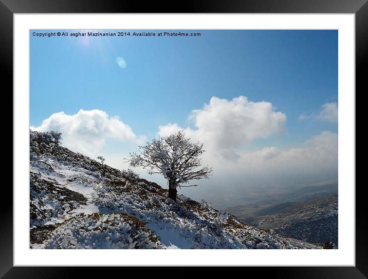 covered with snow, Framed Mounted Print by Ali asghar Mazinanian