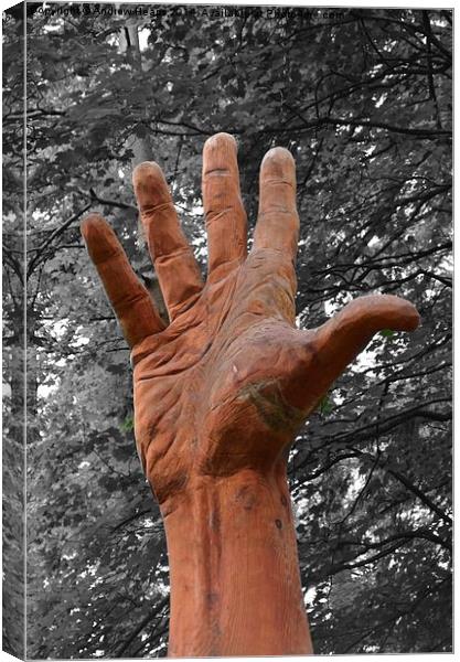  Carved hand Canvas Print by Andrew Heaps
