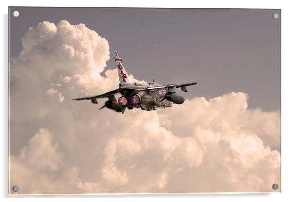 41 Squadron Jaguar  Acrylic by J Biggadike