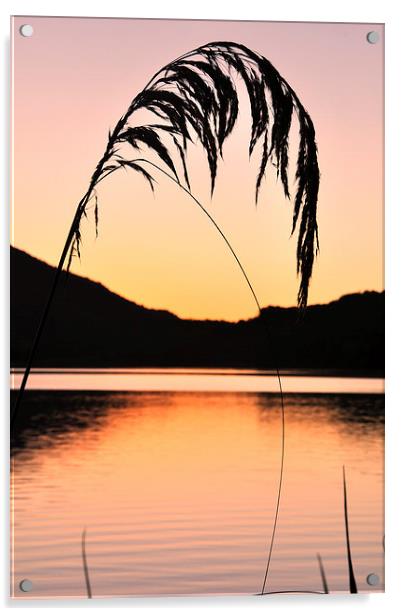 Lake Haupiri sunset Acrylic by Peter Righteous