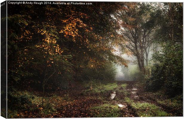  Mist, mud and autumnal shades Canvas Print by Andy Hough