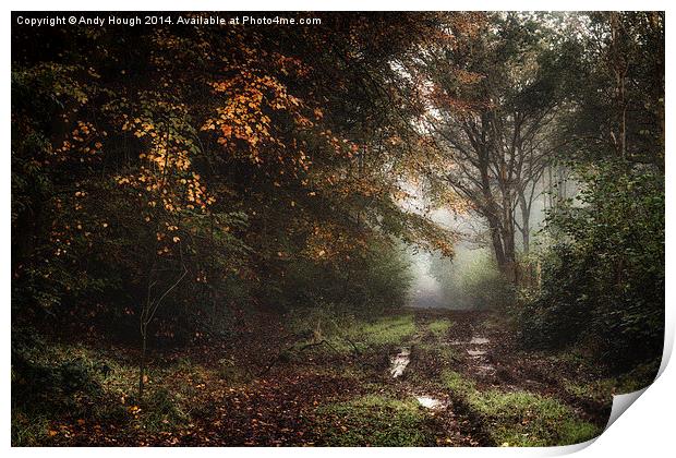  Mist, mud and autumnal shades Print by Andy Hough