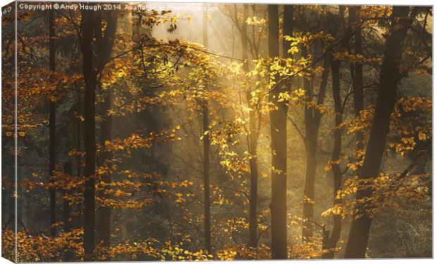  Golden rays lift autumn hues Canvas Print by Andy Hough