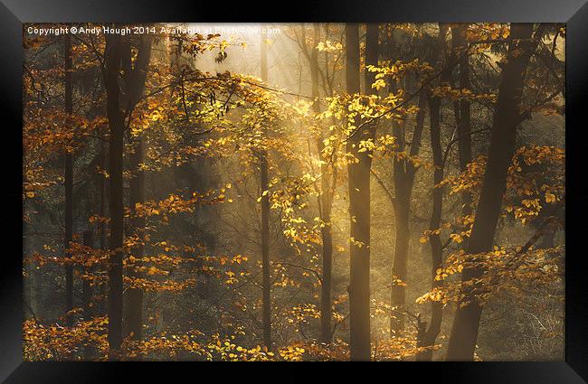  Golden rays lift autumn hues Framed Print by Andy Hough
