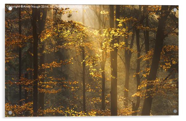  Golden rays lift autumn hues Acrylic by Andy Hough