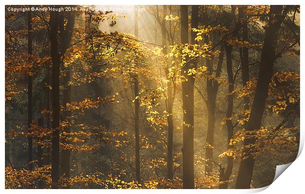  Golden rays lift autumn hues Print by Andy Hough