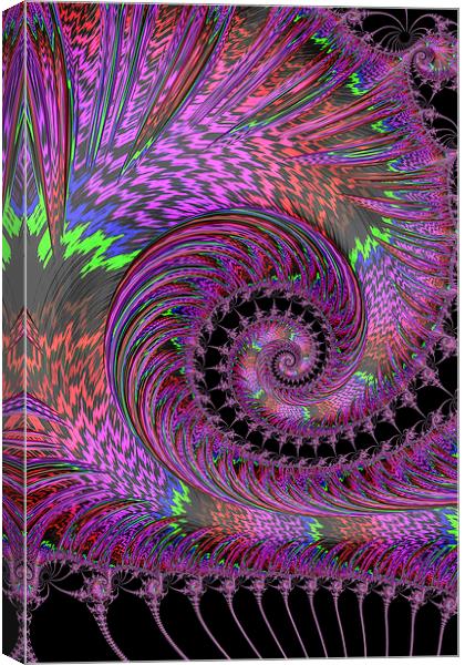 Purple Swirl Canvas Print by Steve Purnell