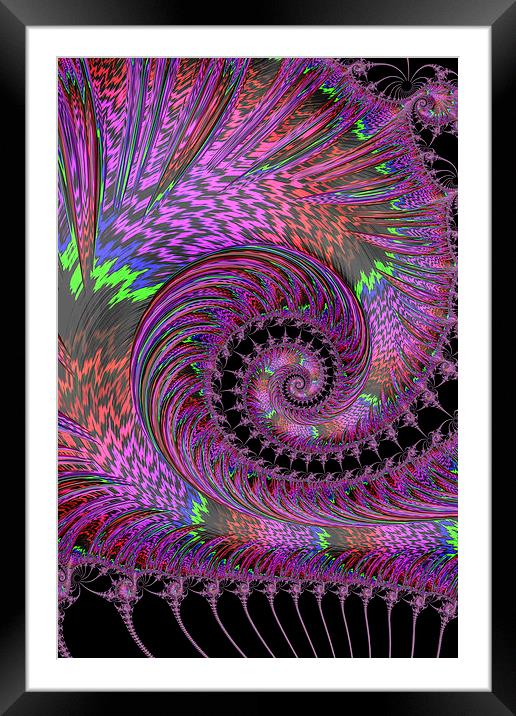 Purple Swirl Framed Mounted Print by Steve Purnell