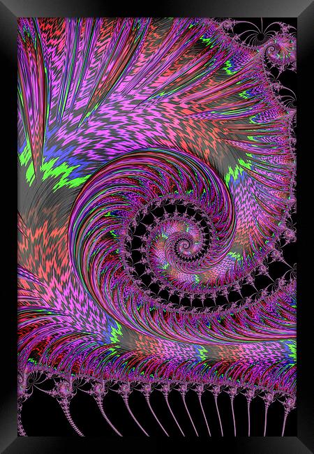 Purple Swirl Framed Print by Steve Purnell