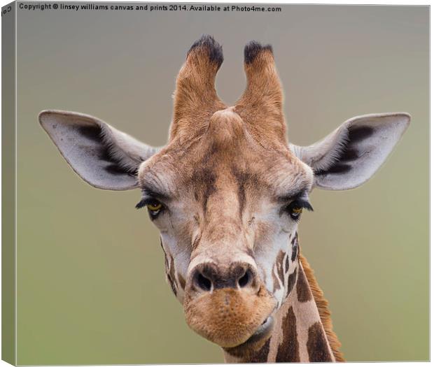 Giraffe. I Am Beautiful Canvas Print by Linsey Williams