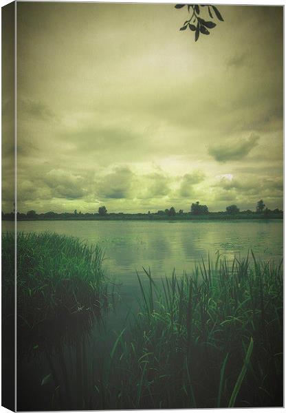 Trekking on the marshlands #2 Canvas Print by Piotr Tyminski