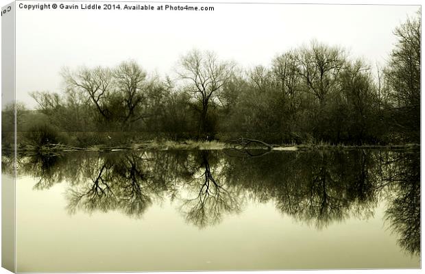  Tree Reflections 1 Canvas Print by Gavin Liddle