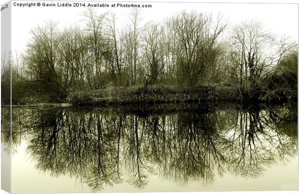  Tree Reflections 2 Canvas Print by Gavin Liddle