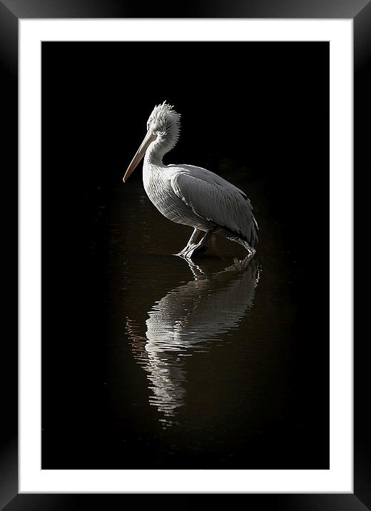  Pelican rock Framed Mounted Print by James Tully