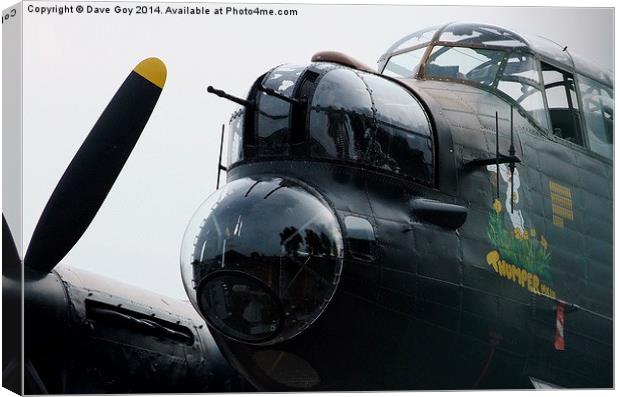  The Perfect Nose Canvas Print by Dave Goy