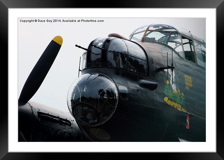  The Perfect Nose Framed Mounted Print by Dave Goy