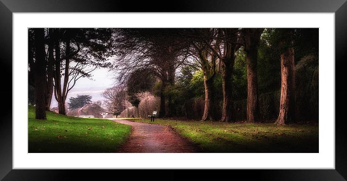  Ravenhill park Framed Mounted Print by Leighton Collins