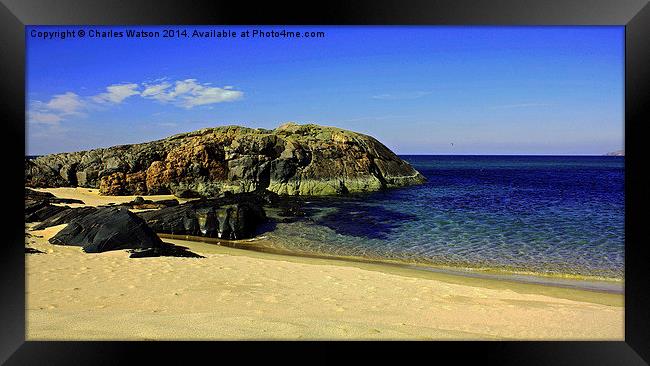 Beached whale Framed Print by Charles Watson