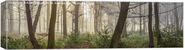  Norcot Wood Canvas Print by Andy Hough