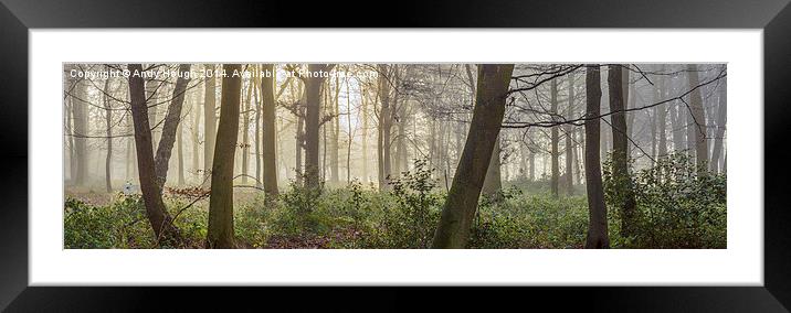  Norcot Wood Framed Mounted Print by Andy Hough