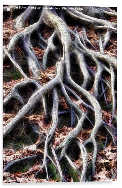  Meandering tree roots Acrylic by Avril Harris