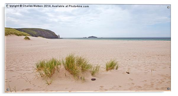  Deserted Beach Acrylic by Charles Watson