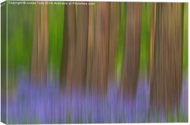 Walking through the bluebell woods Canvas Print by James Tully