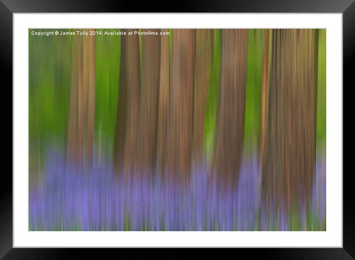 Walking through the bluebell woods Framed Mounted Print by James Tully