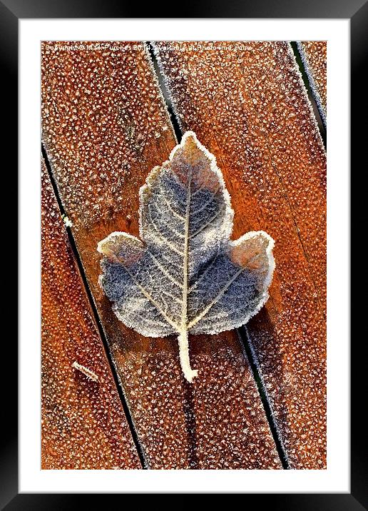 Frosty Leaf on Wooden Table Framed Mounted Print by Mark Purches