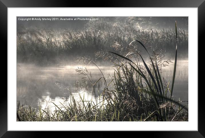 Grasses in Autumn Framed Mounted Print by Andy Morley