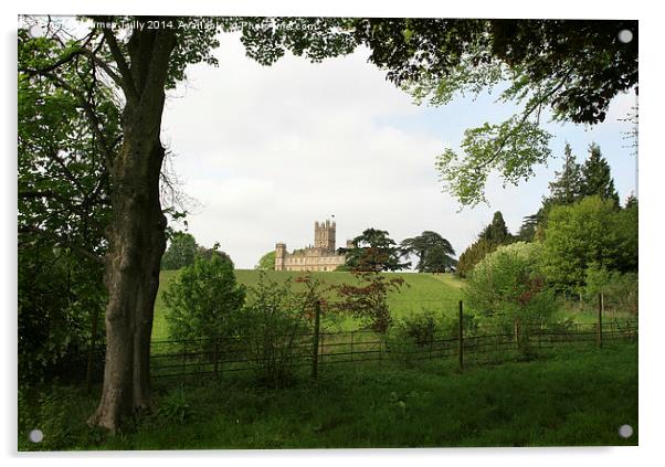 The famous Downton Abbey on top of the hill Acrylic by James Tully