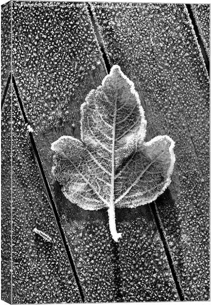 Black White Frosty Leaf on Wooden Table Canvas Print by Mark Purches