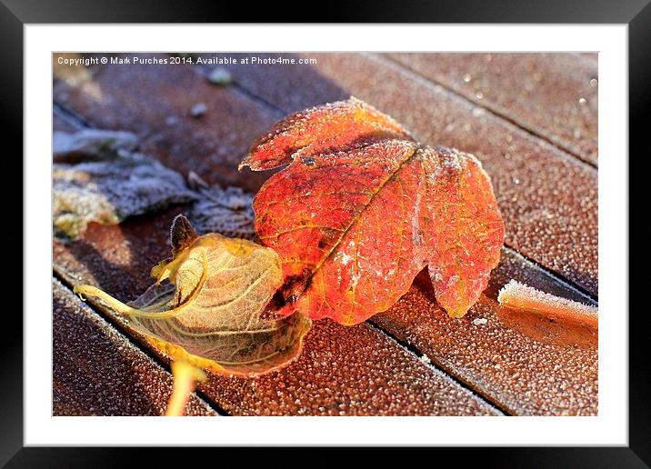 Two Frosty Leaves on Red Wooden Table Framed Mounted Print by Mark Purches