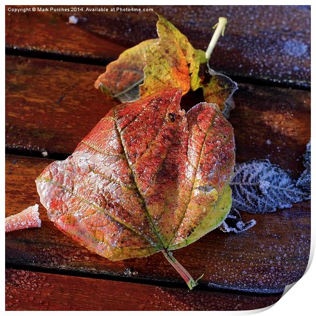 Frosty Wet Autumn Leaves Square on Wooden Table Print by Mark Purches
