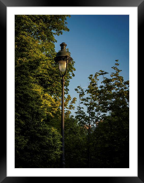 Paris Streetlight Framed Mounted Print by Mark Llewellyn