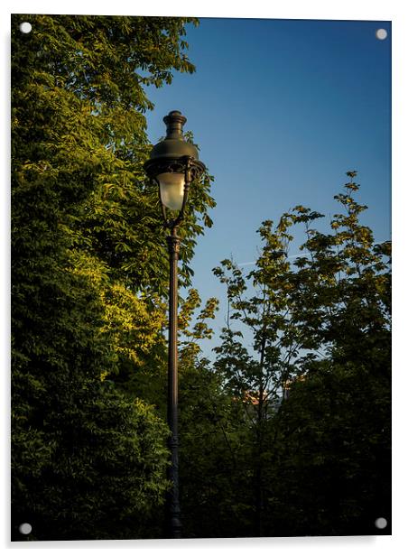 Paris Streetlight Acrylic by Mark Llewellyn