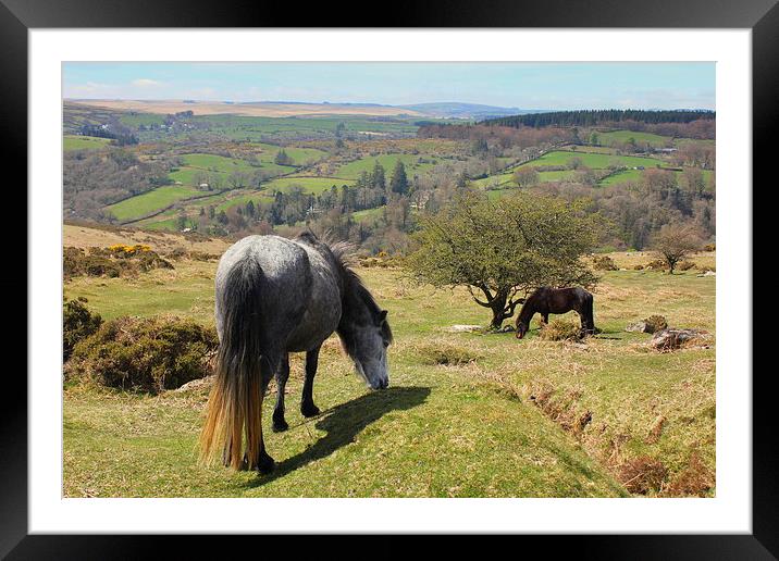  Dartmoor  Framed Mounted Print by Derek Blower