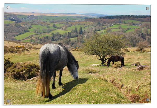  Dartmoor  Acrylic by Derek Blower