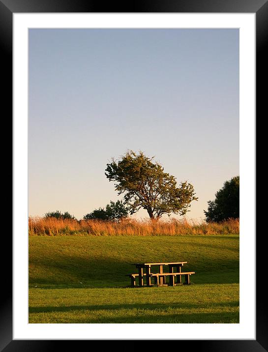  Last Picnic of Summer Framed Mounted Print by Ian Davidson