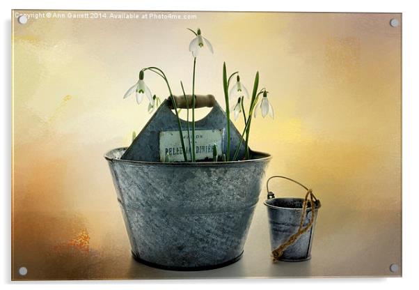 Snowdrops in a Bucket Acrylic by Ann Garrett
