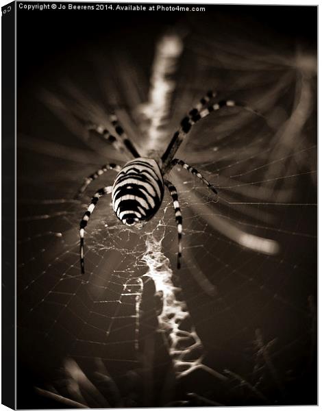 spider in waiting Canvas Print by Jo Beerens